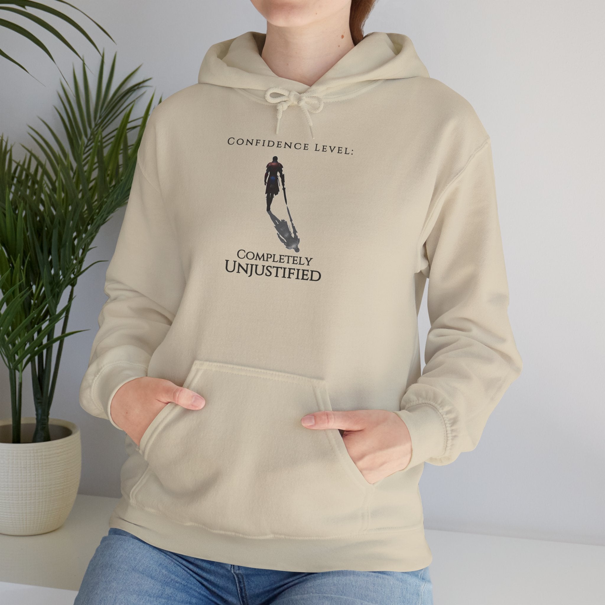 Hoodie — 'Confidence Level :Completely Unjustified Graphic Pullover