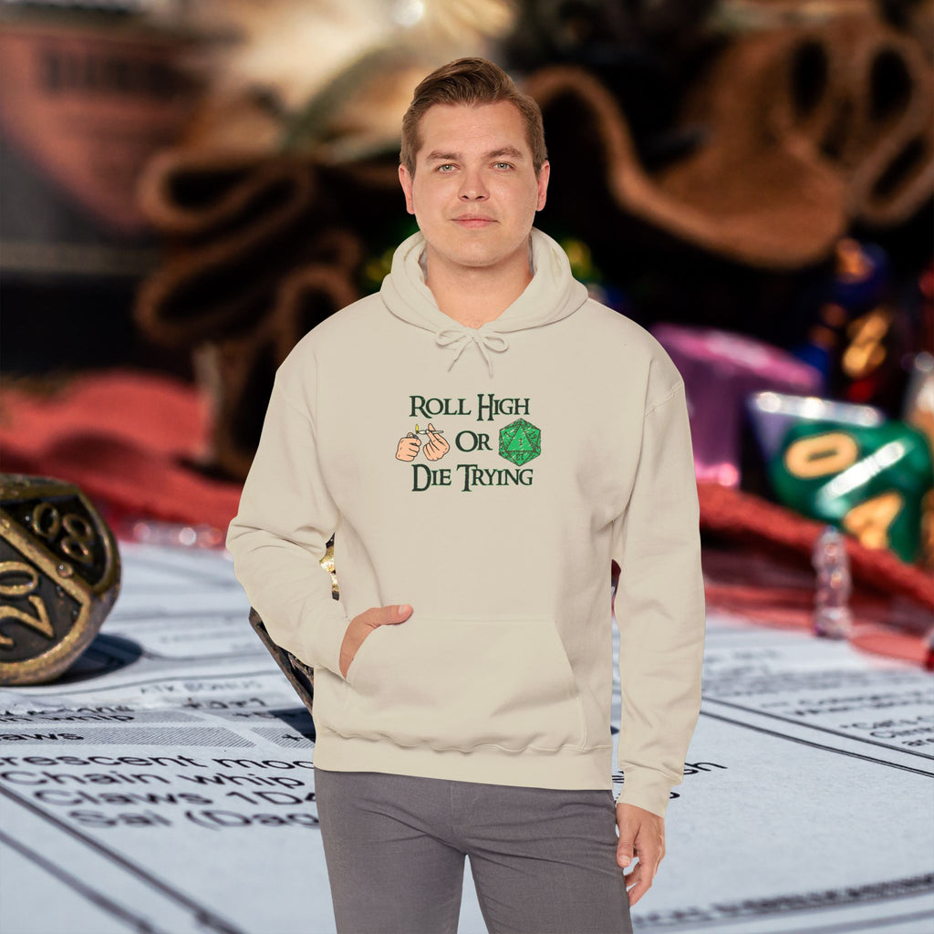 Roll High or Die Trying Hoodie – D20 Dice Gaming Sweatshirt