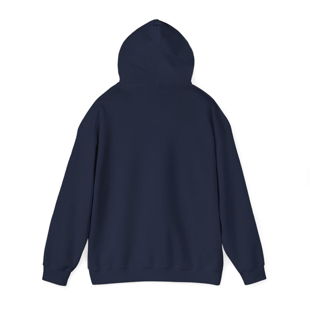 Dungeon Meowster Hoodie - Cute D&D Cat Gamer Sweatshirt