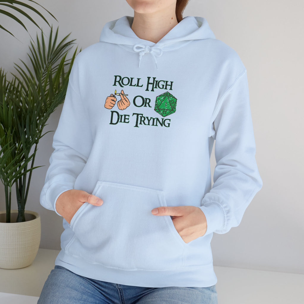 Roll High or Die Trying Hoodie – D20 Dice Gaming Sweatshirt