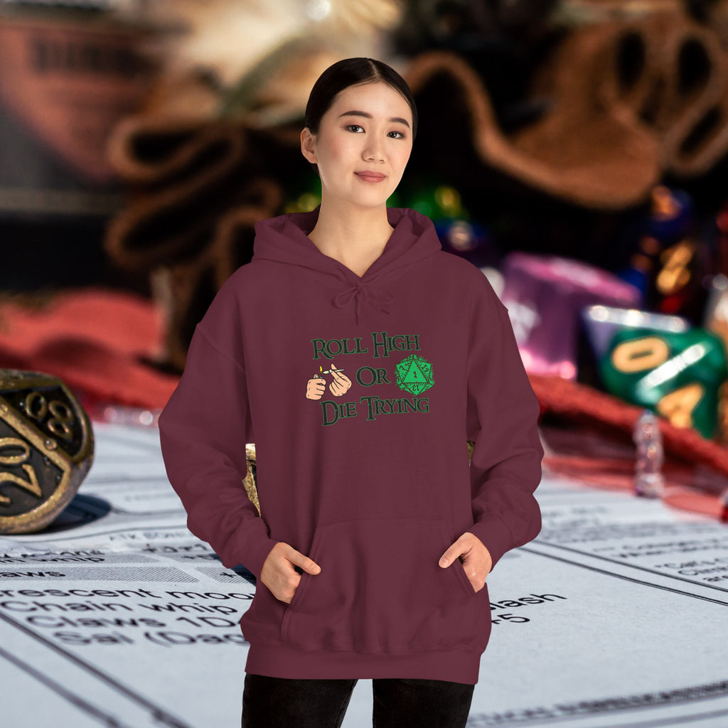 Roll High or Die Trying Hoodie – D20 Dice Gaming Sweatshirt