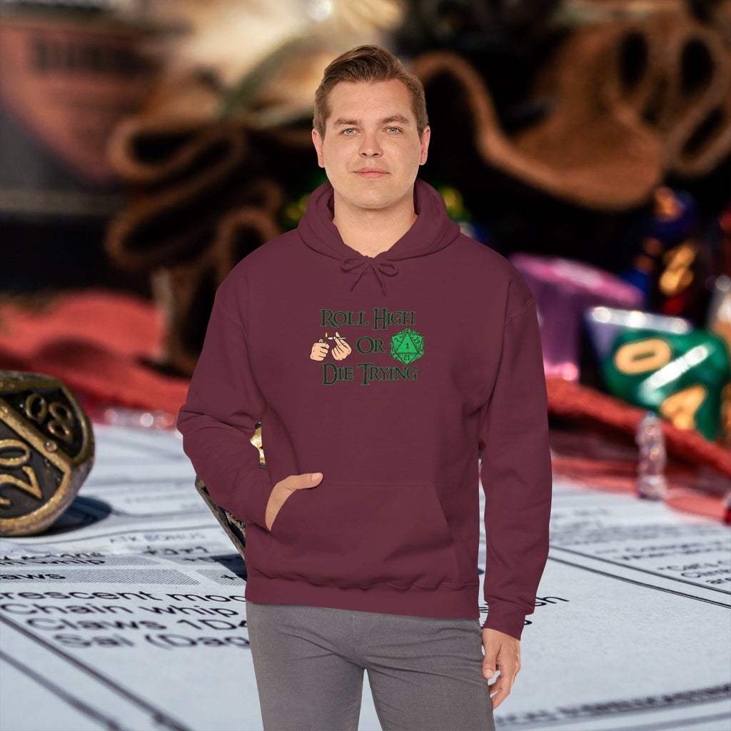 Roll High or Die Trying Hoodie – D20 Dice Gaming Sweatshirt