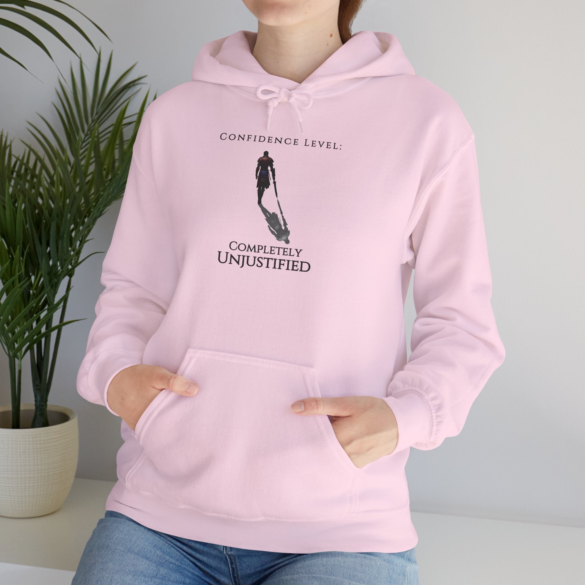 Hoodie — 'Confidence Level :Completely Unjustified Graphic Pullover
