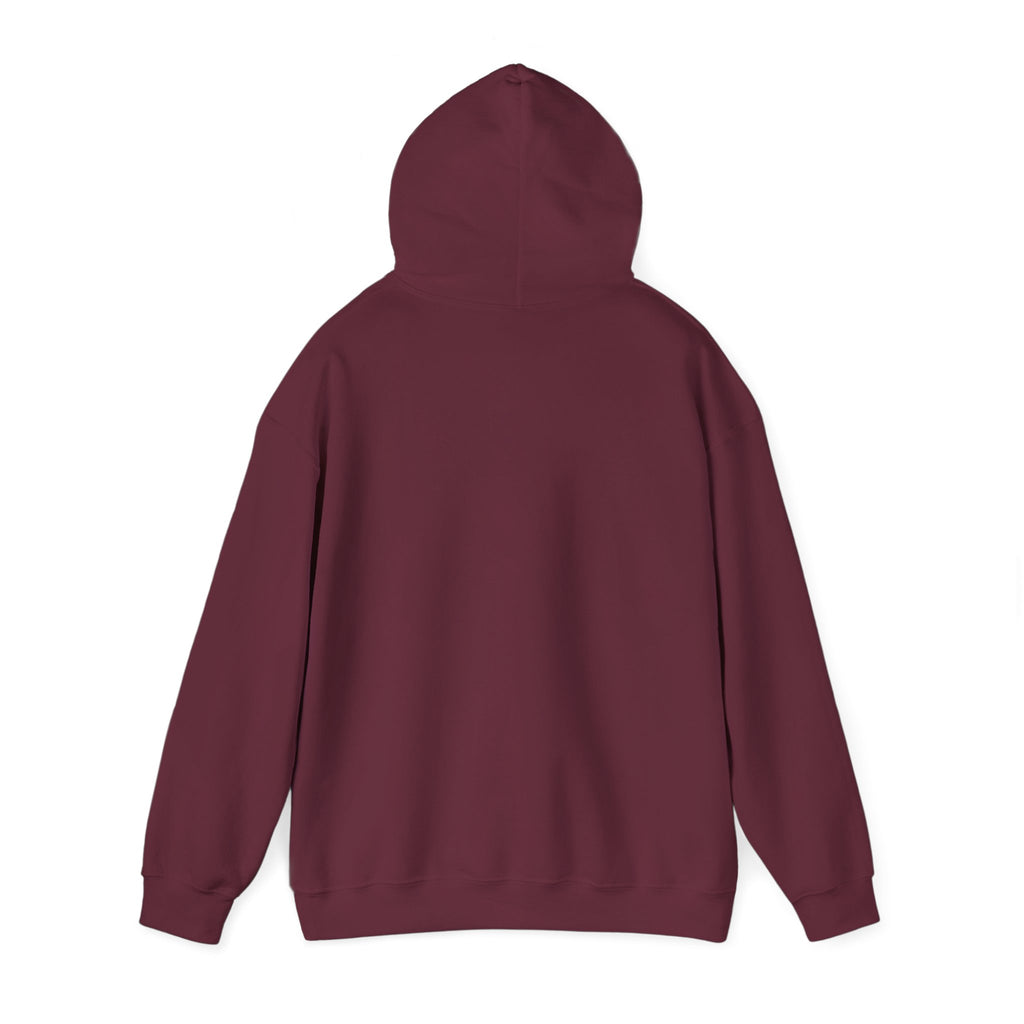 Dungeon Meowster Hoodie - Cute D&D Cat Gamer Sweatshirt