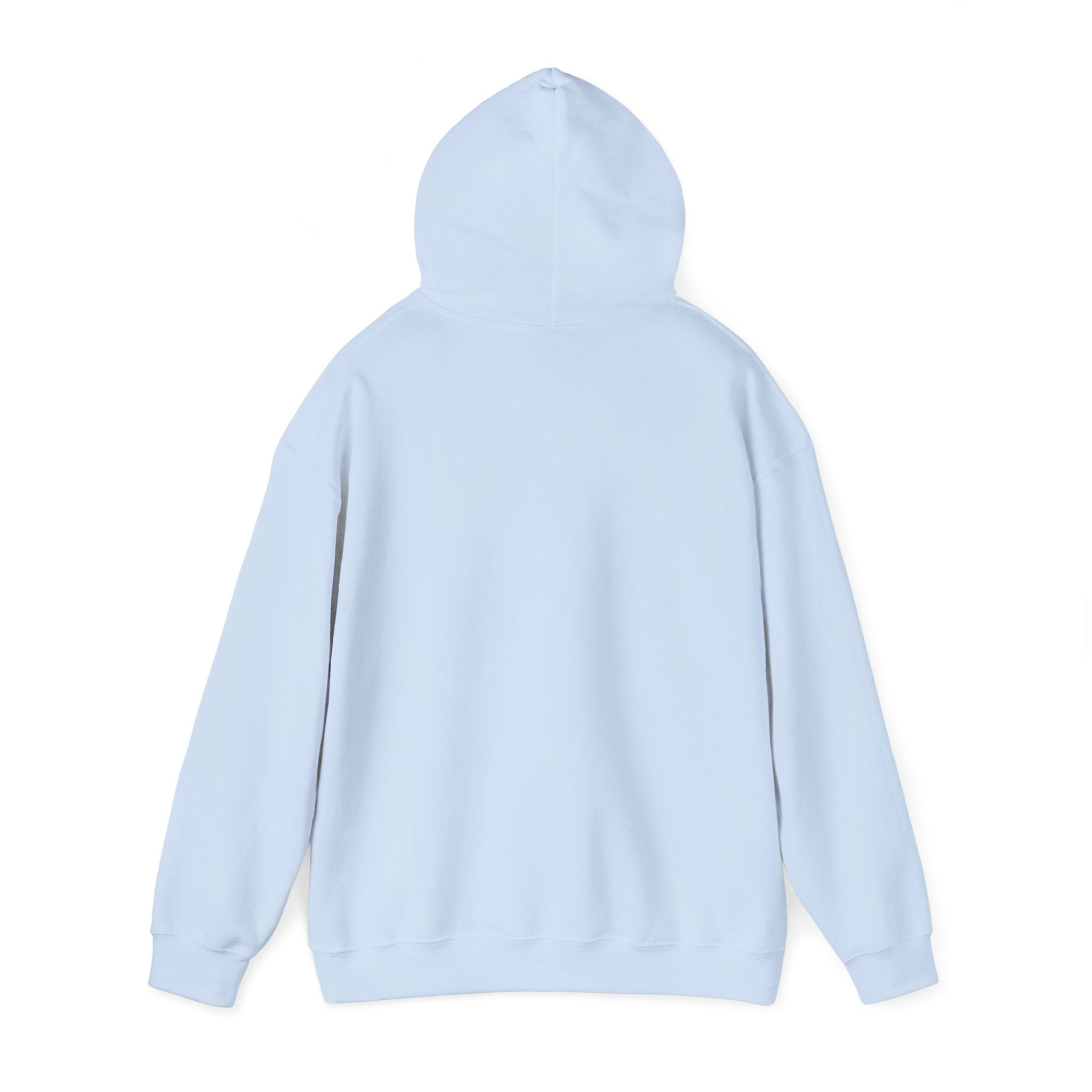 Dungeon Meowster Hoodie - Cute D&D Cat Gamer Sweatshirt
