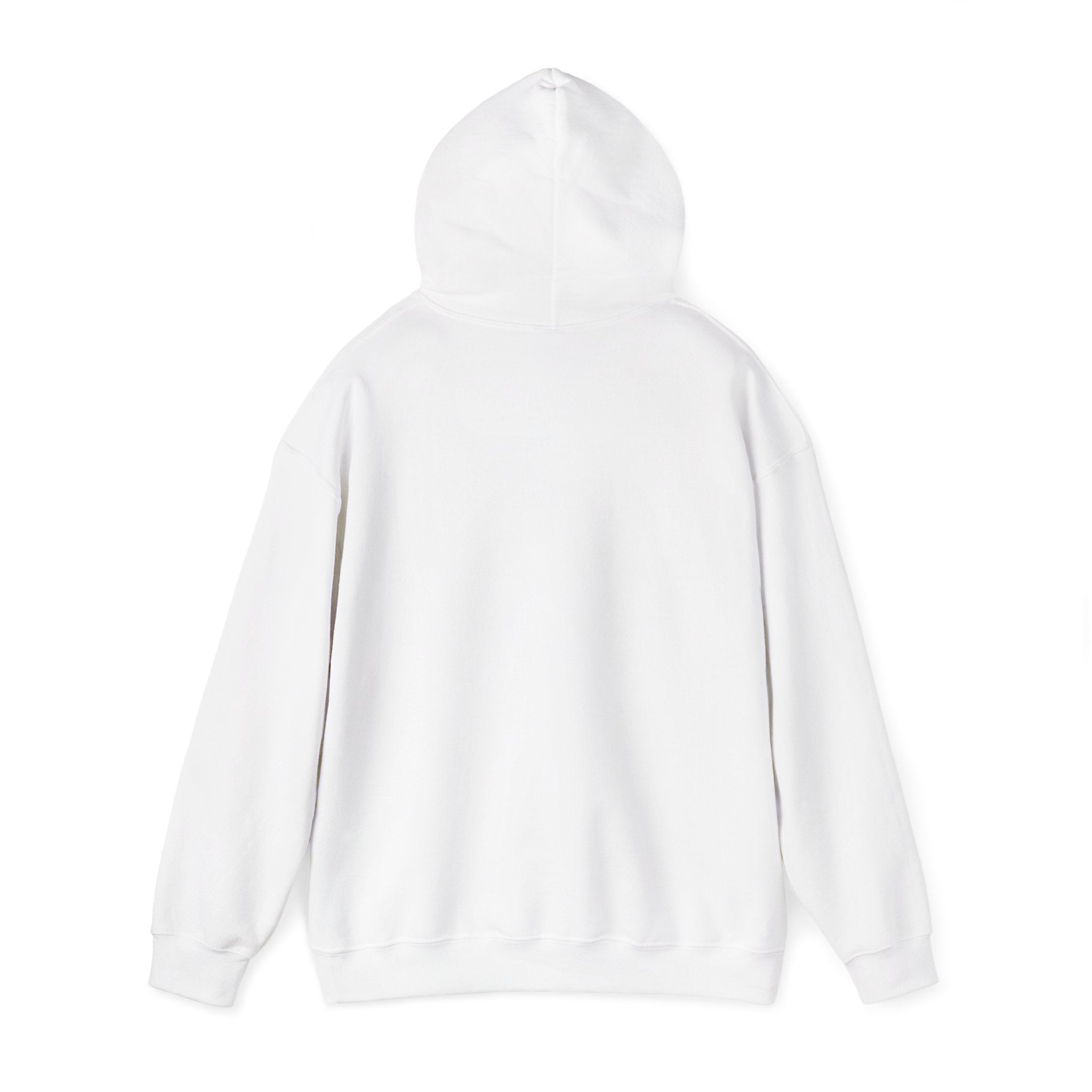 Dungeon Meowster Hoodie - Cute D&D Cat Gamer Sweatshirt