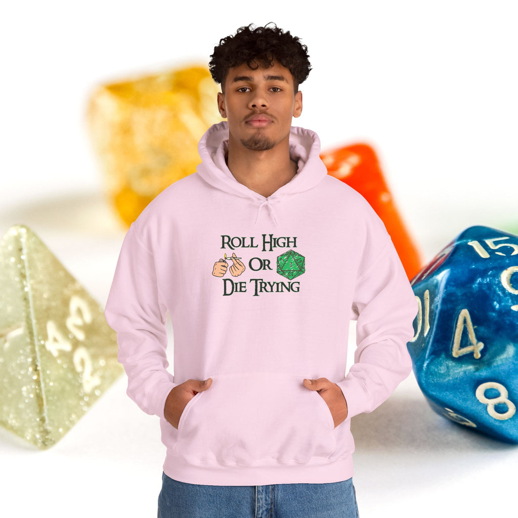 Roll High or Die Trying Hoodie – D20 Dice Gaming Sweatshirt